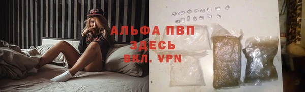 a pvp Беломорск